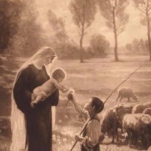 Meet your Posher, Genevieve